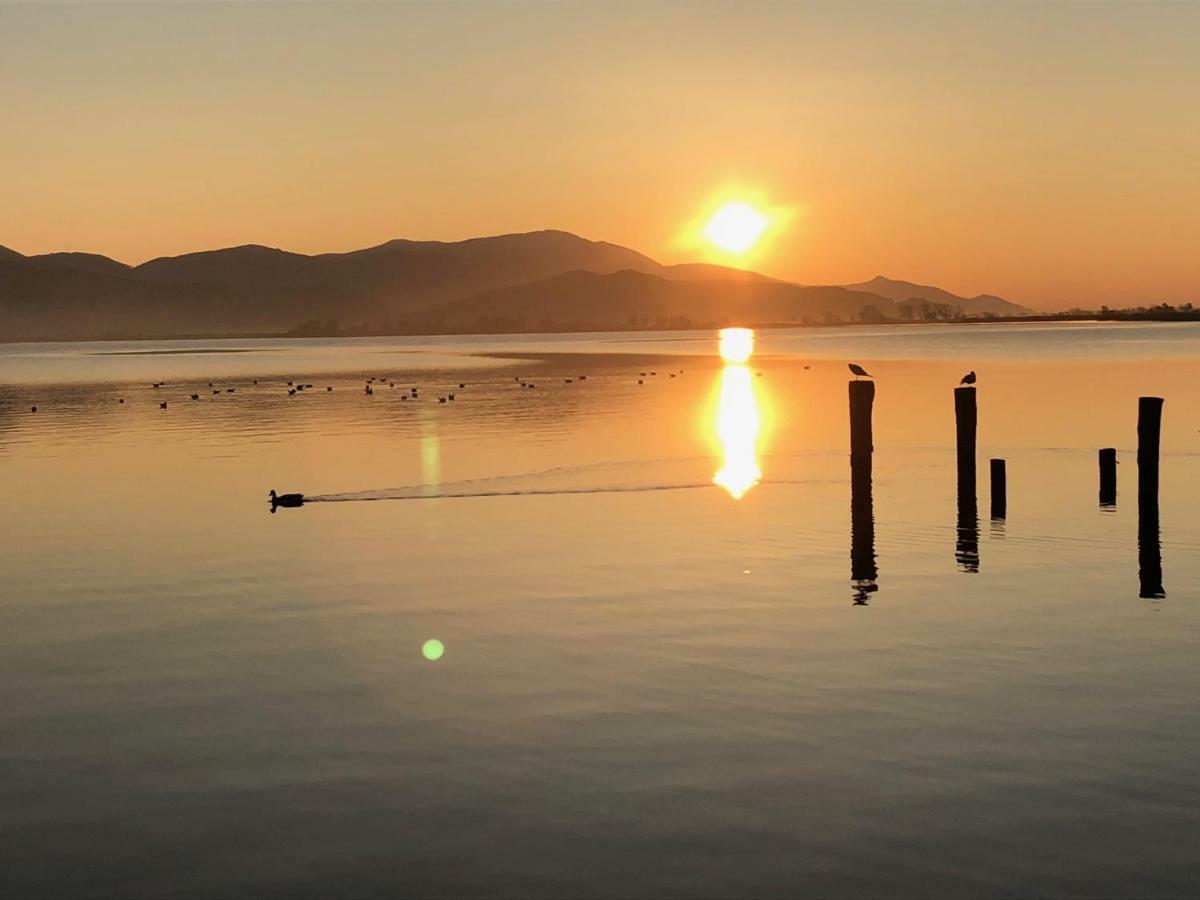 Vista Lago Torre del Lago Puccini Exterior foto